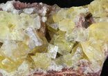 Lustrous, Yellow Cubic Fluorite Crystals - Morocco #44890-1
